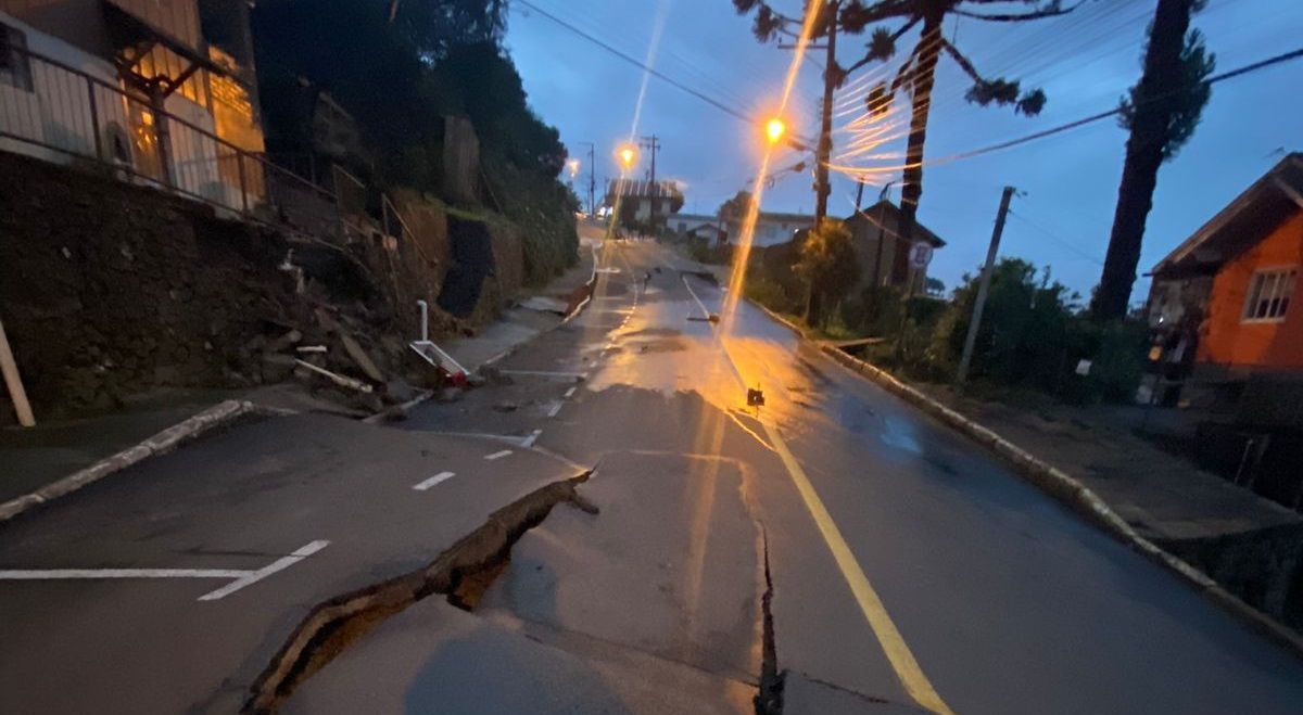 Um carro está dirigindo por uma estrada com uma árvore caída ao lado.