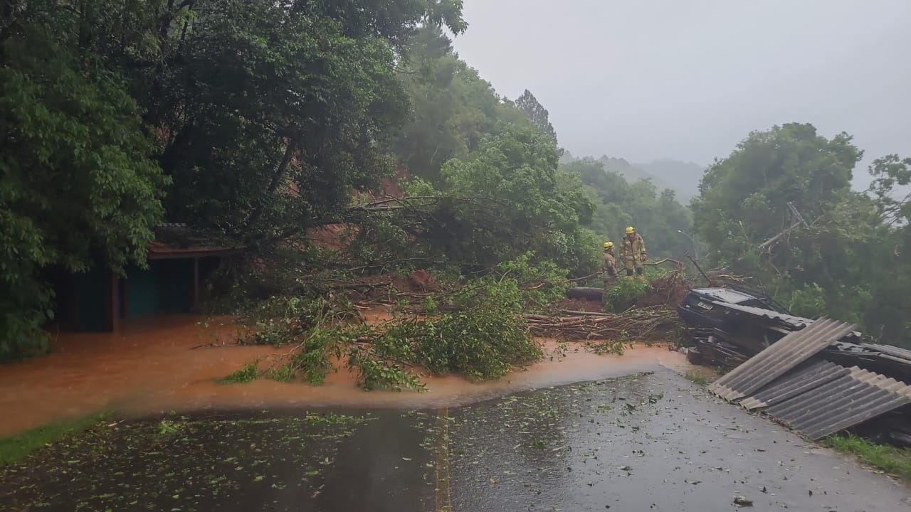 Uma estrada inundada com uma árvore caída ao lado.