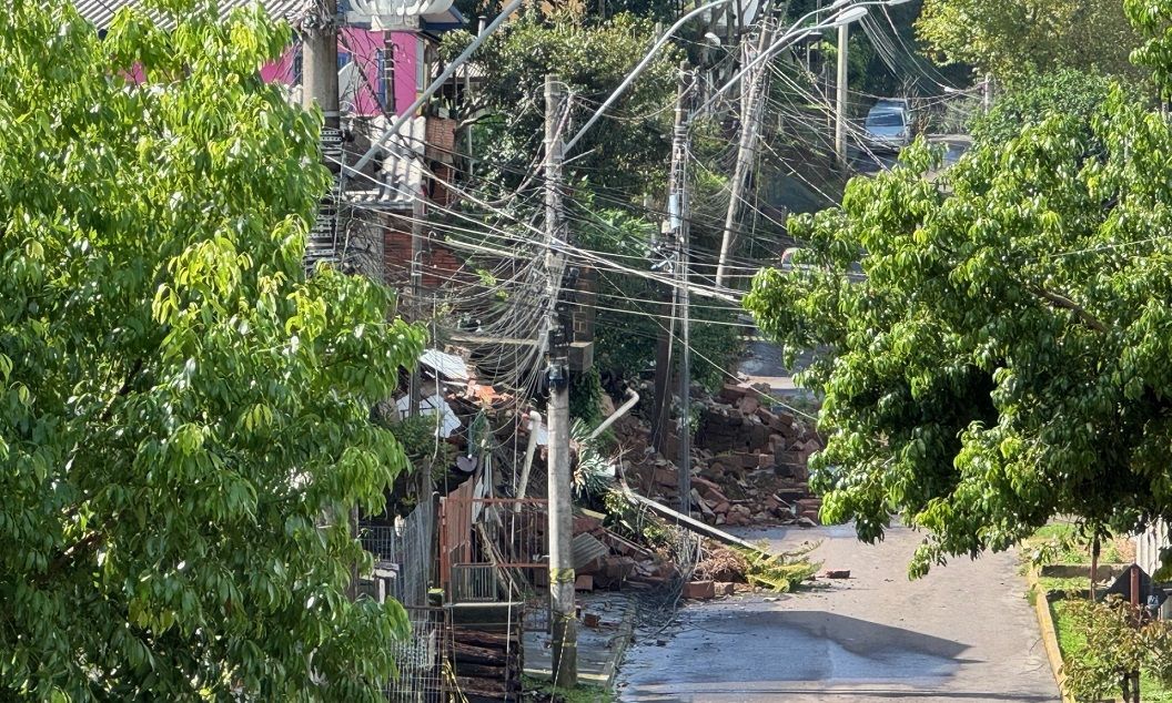 Uma árvore caiu na beira de uma estrada.
