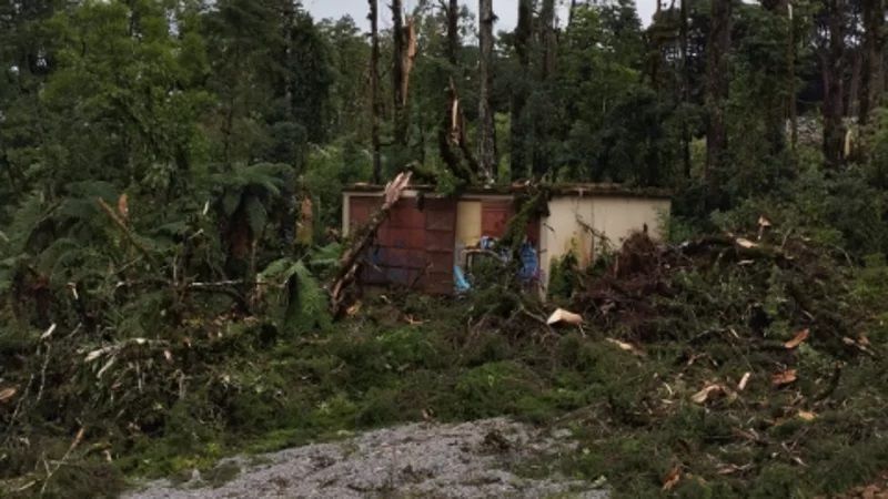 Uma casa está situada no meio de uma floresta cercada por árvores.