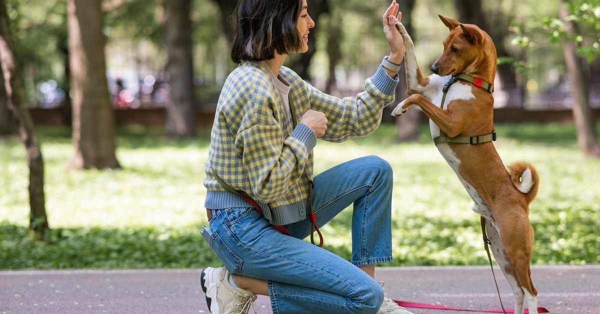 A young woman smiles as she crouches to high-five her small dog in an open public park on a sunny day.