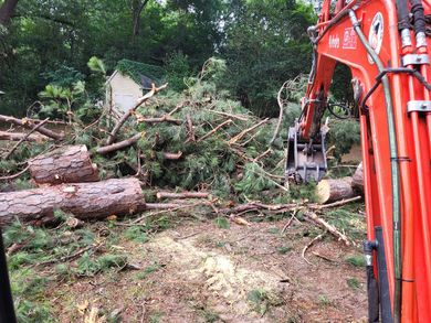 Orange excavator clearing fallen trees and branches in a wooded area