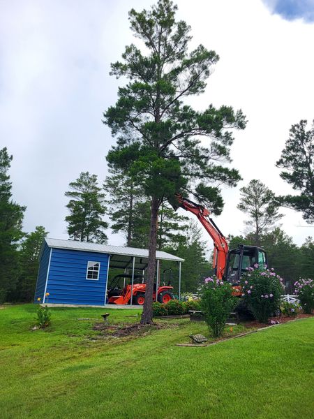Red excavator beside a blue shed on a grassy hillside under tall trees