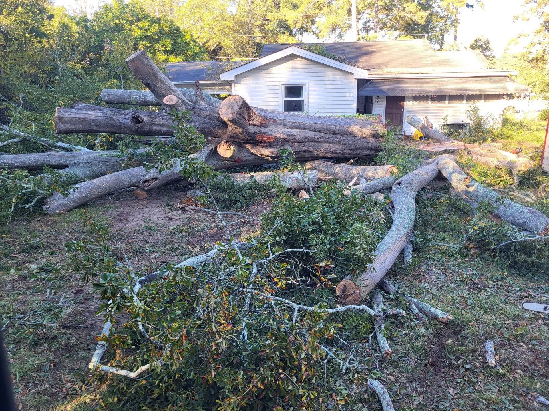 Fallen trees and debris piled in a yard in front of a white house after storm damage