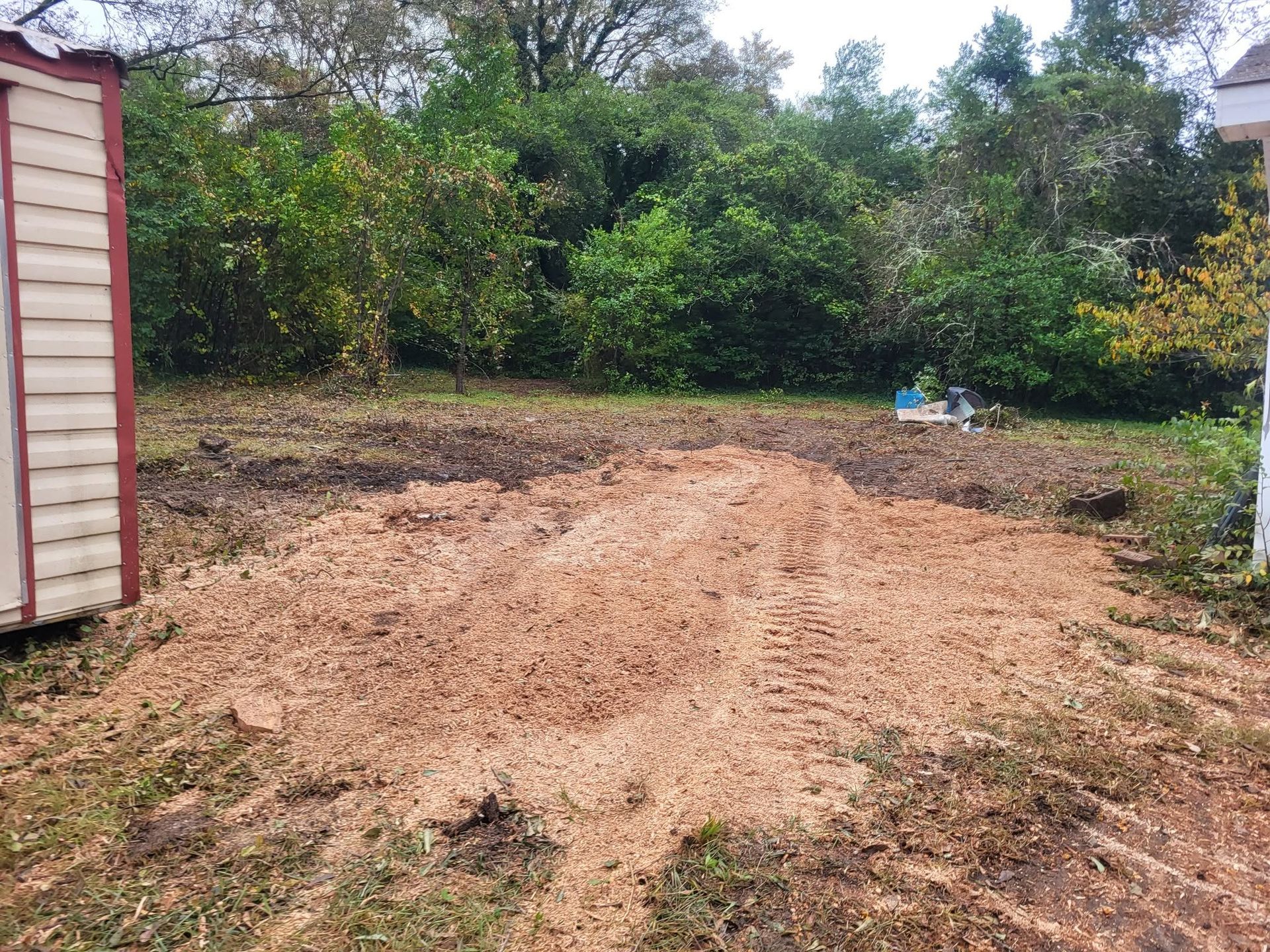 Cleared dirt path in a wooded backyard beside a shed, with trees and brush in the background