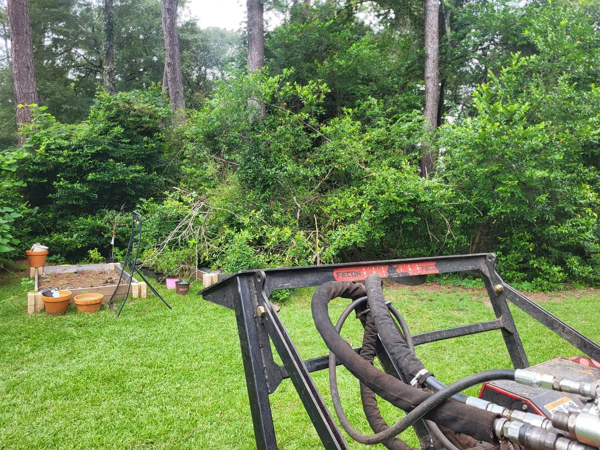 Green backyard with trees, bushes, and a lawnmower in the foreground