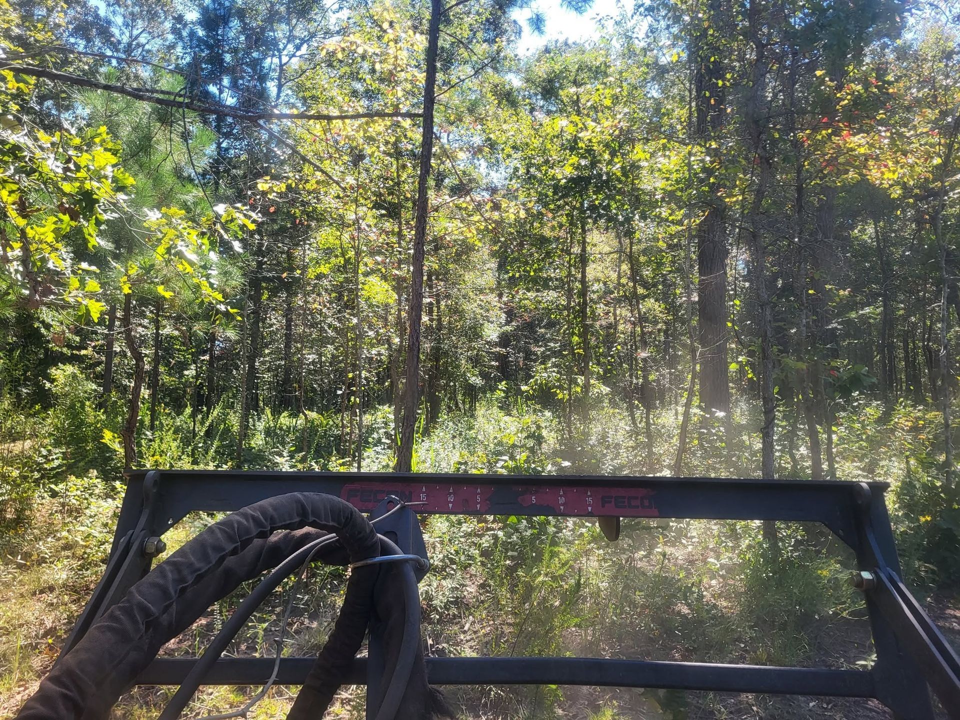 Front view from an off-road vehicle on a forest trail with trees and sunlight ahead