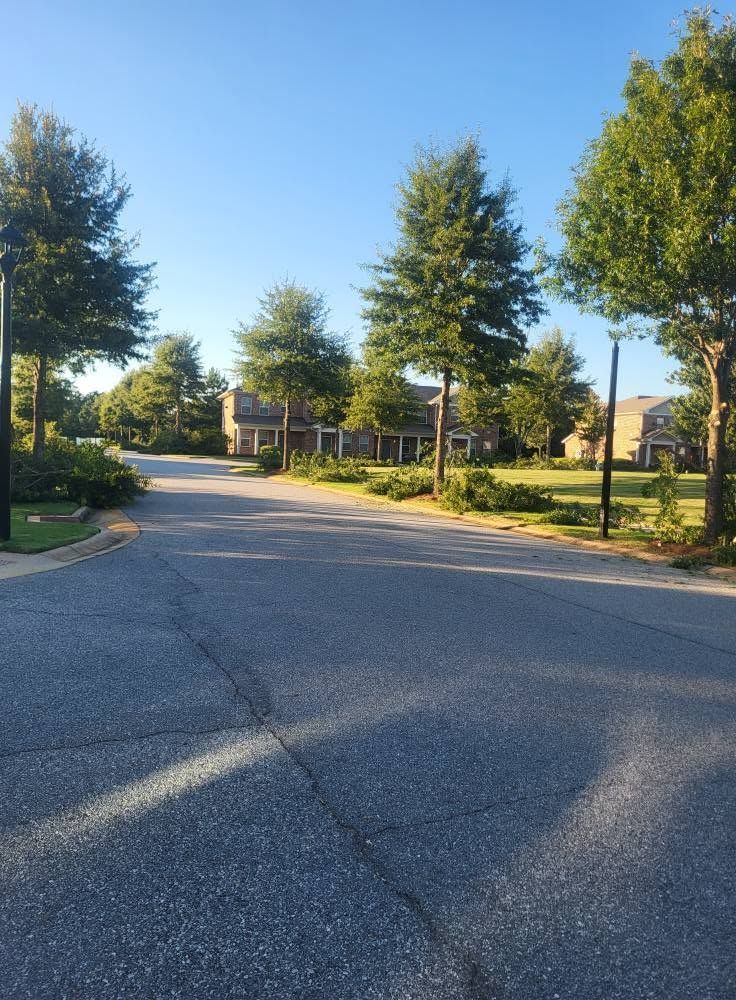 Sunlit suburban street with trees, a curved road, and houses in the distance