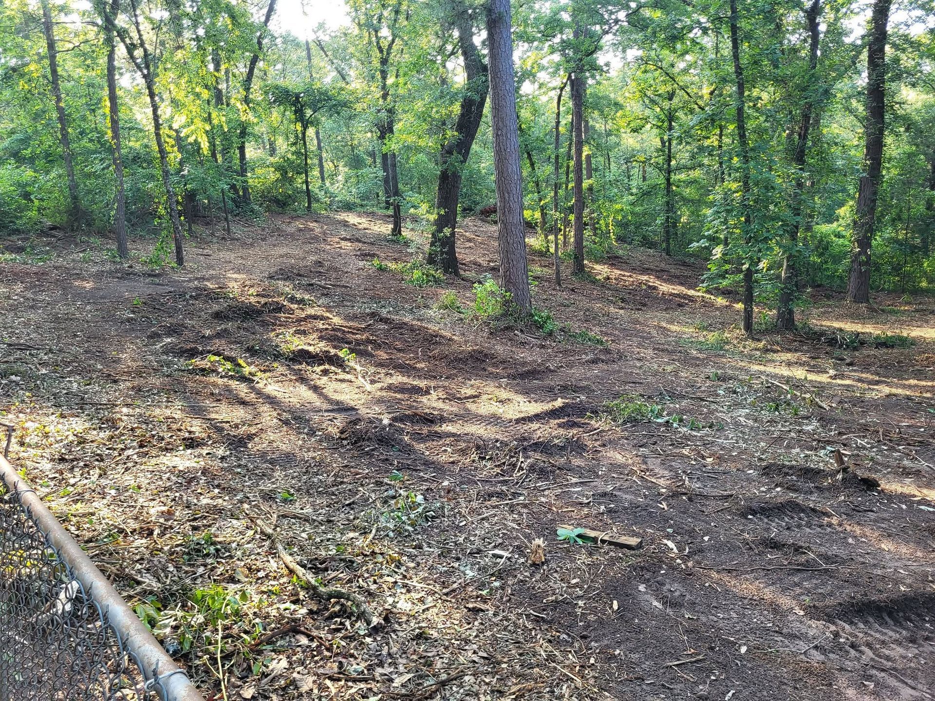 Wooded trail with a muddy, sunlit dirt path and a hose or pipe along the left edge