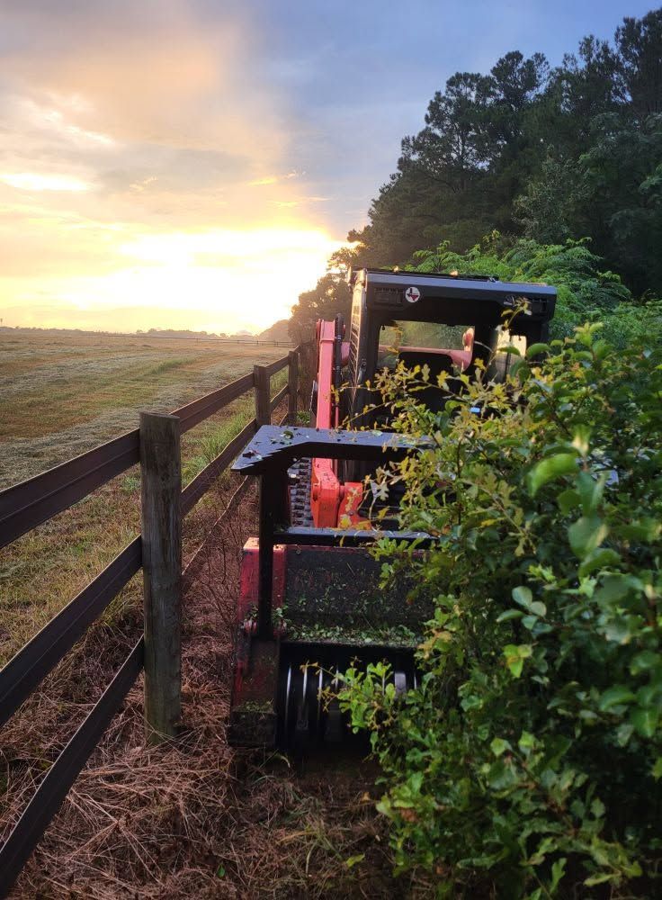 Sunset over a fenced path with a small cart and leafy bushes beside a wooded edge
