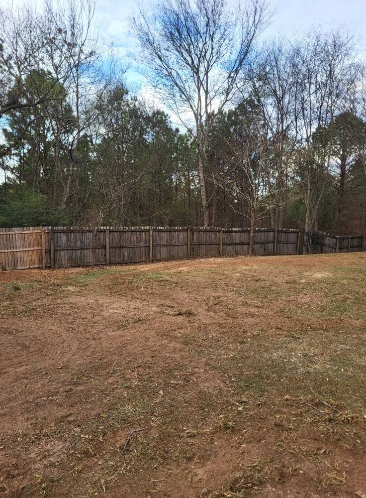 Backyard with patchy grass, wooden fence, and leafless trees under a cloudy sky