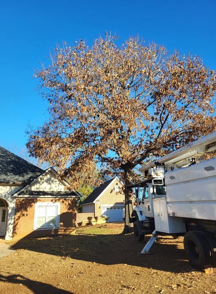 Large tree with autumn leaves beside a house and white truck under a clear blue sky