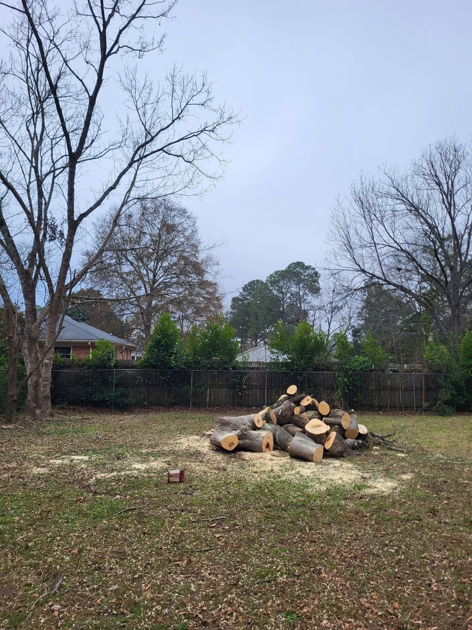 Backyard with a small woodpile fire pit, leaf-covered grass, trees, and an overcast sky