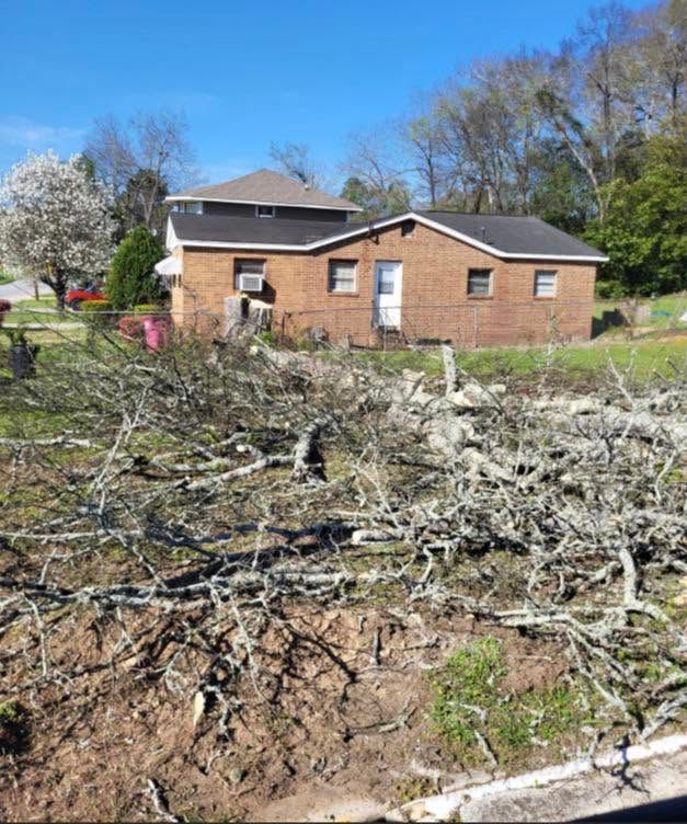 Brick house behind storm-damaged yard with fallen branches and debris under a blue sky