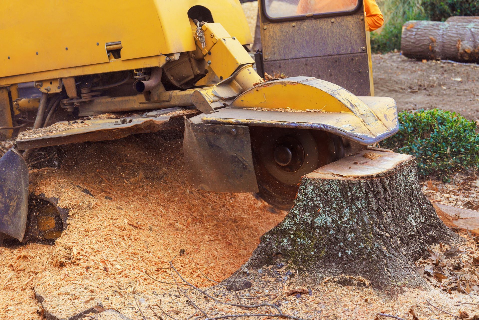 Yellow wood chipper blowing sawdust beside a tree stump on a dirt worksite