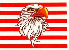 An eagle 's head is on a red and white striped background