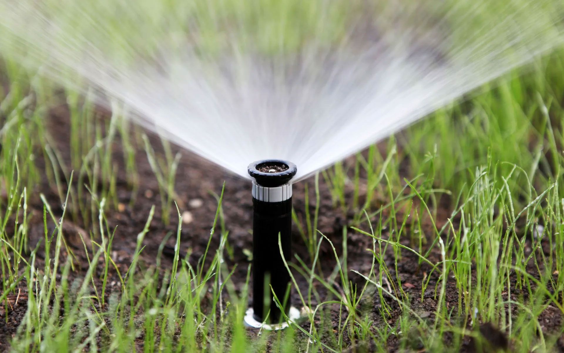 5 Signs Your Sprinkler System Needs a Repair Company Now