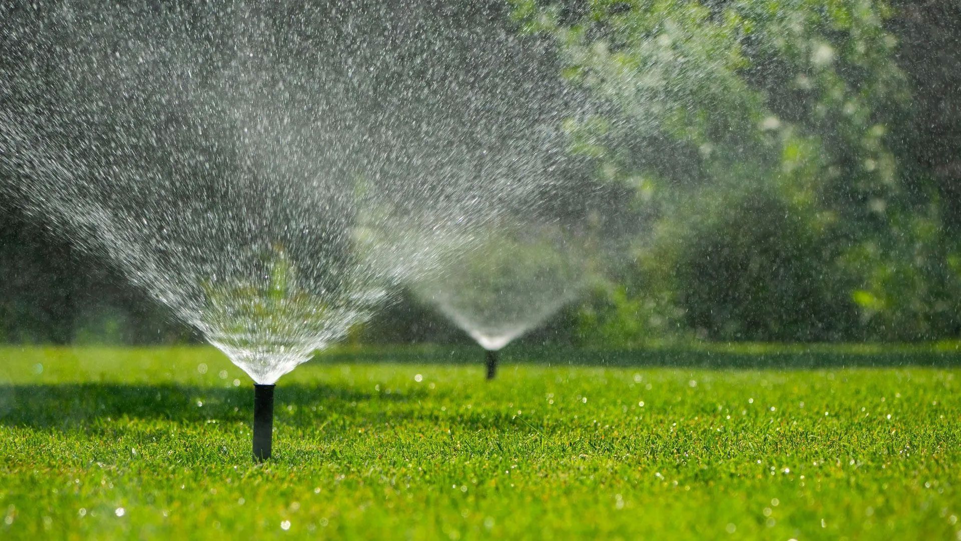 The Telltale “Geyser” Effect