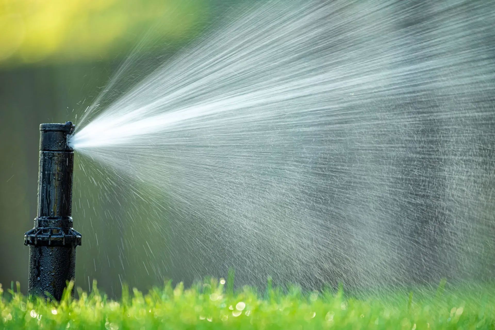 Top 5 Signs Your Lawn Needs a Professional Sprinkler Tune-Up: Advice from a Lawn Sprinkler System Co