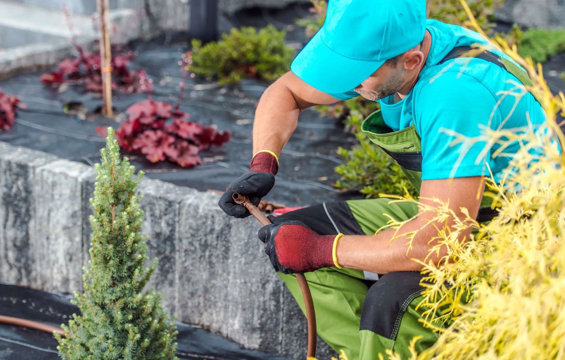 HOA Irrigation Rules and Residential Irrigation Repair in Celebration, FL: What Homeowners Need to K