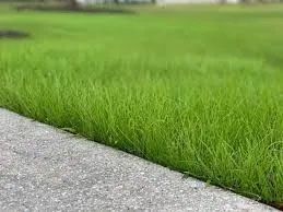 Fertilizer Services 2