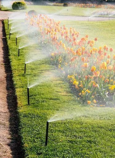 Irrigation Maintenance