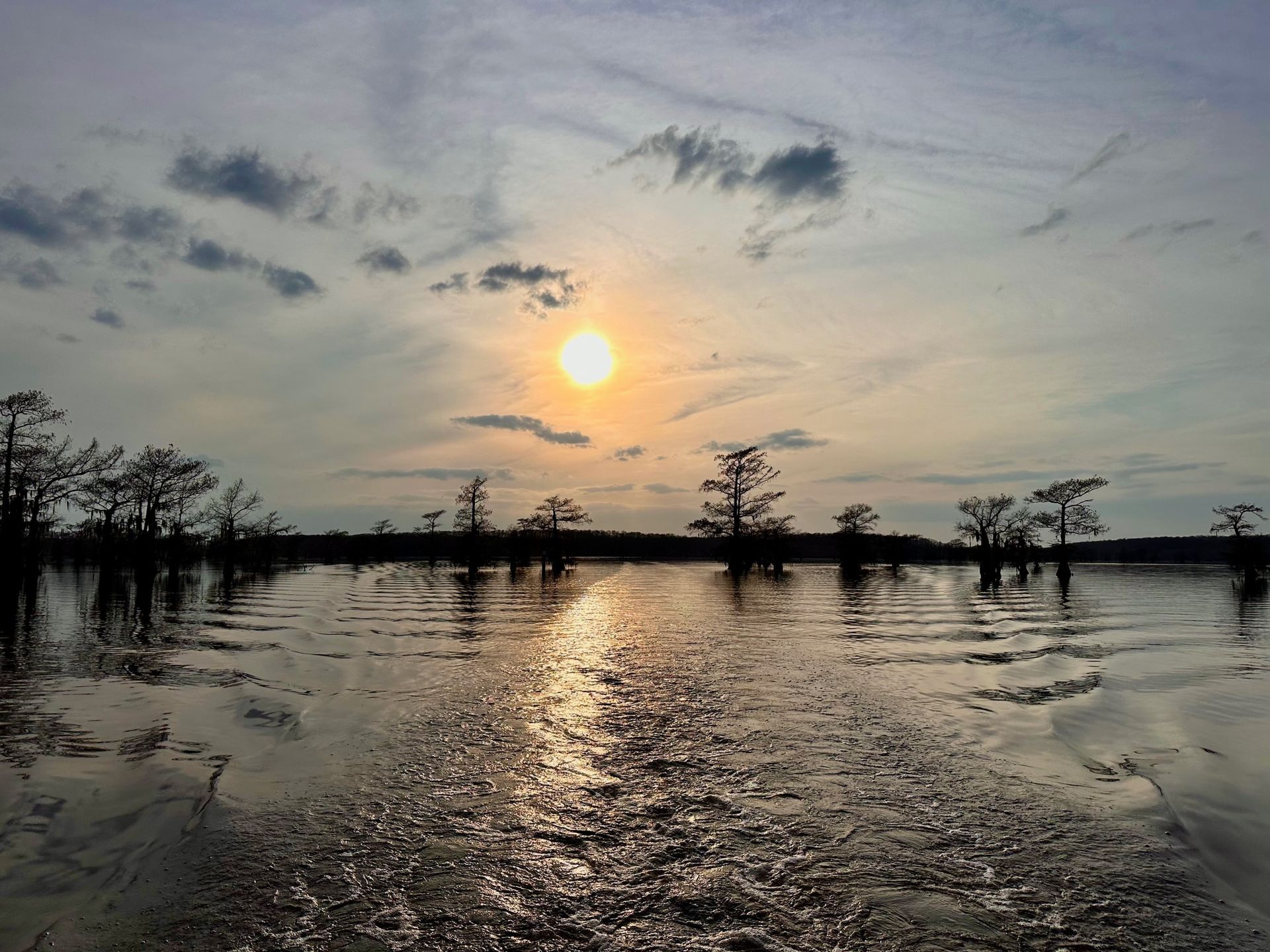 The sun is setting over a body of water with trees in the background.
