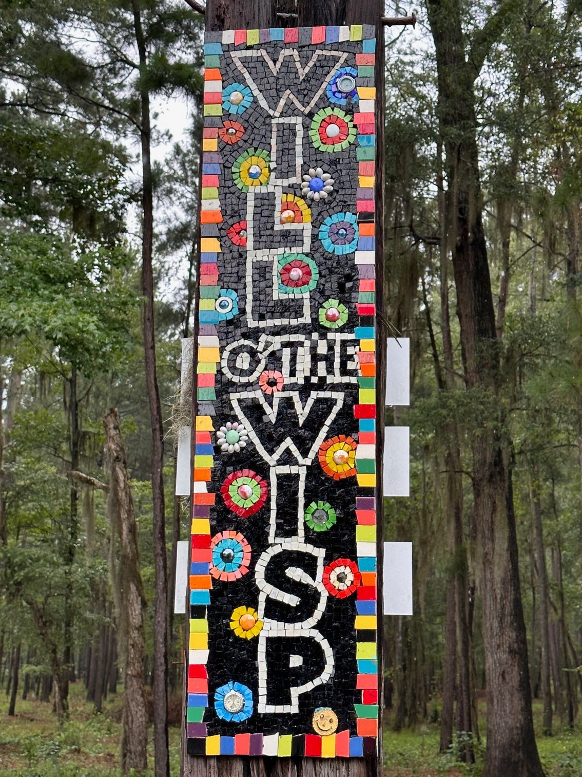 A colorful sign is hanging from a tree in the middle of a forest.