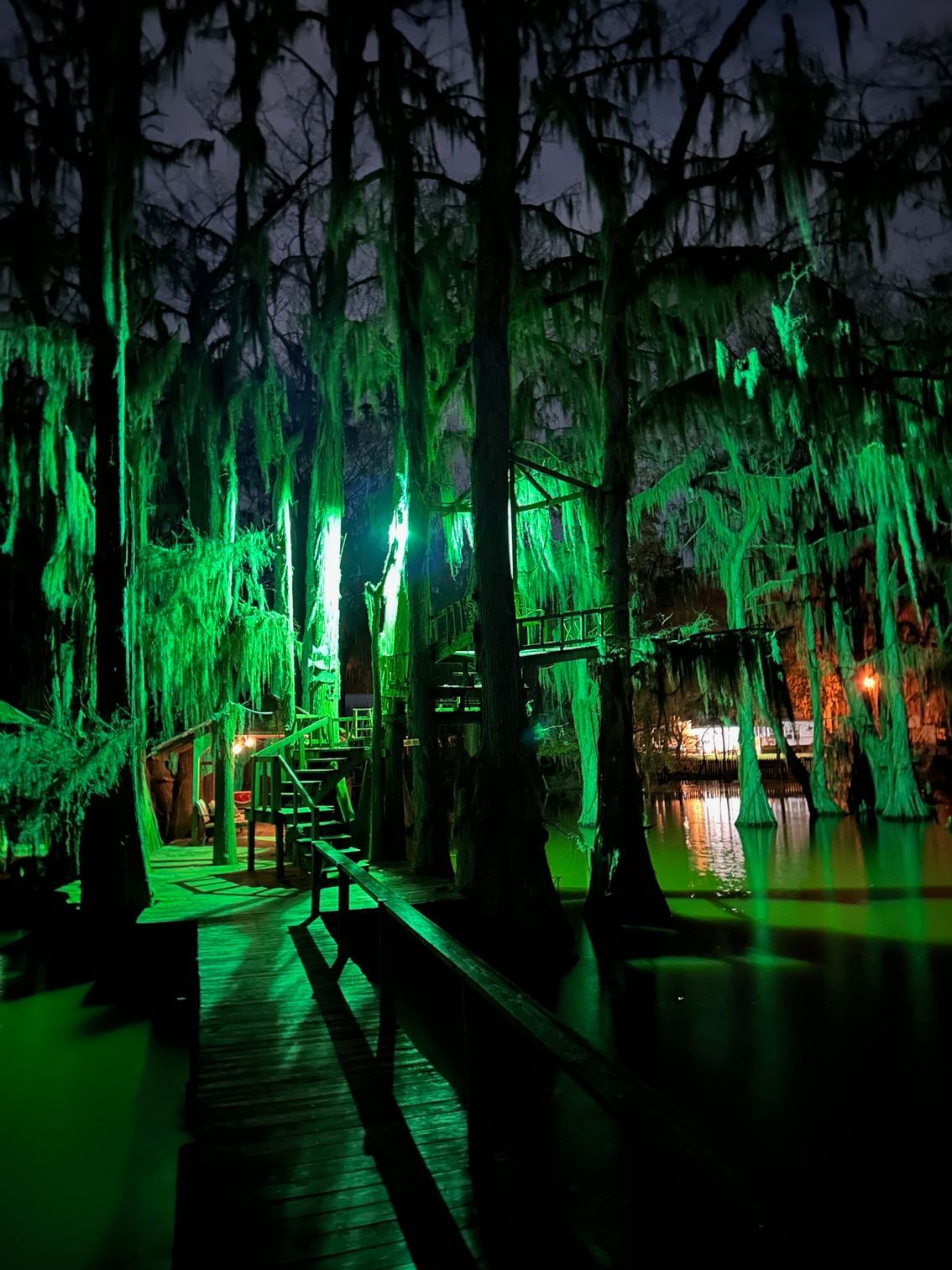 A swamp with trees lit up with green lights at night.