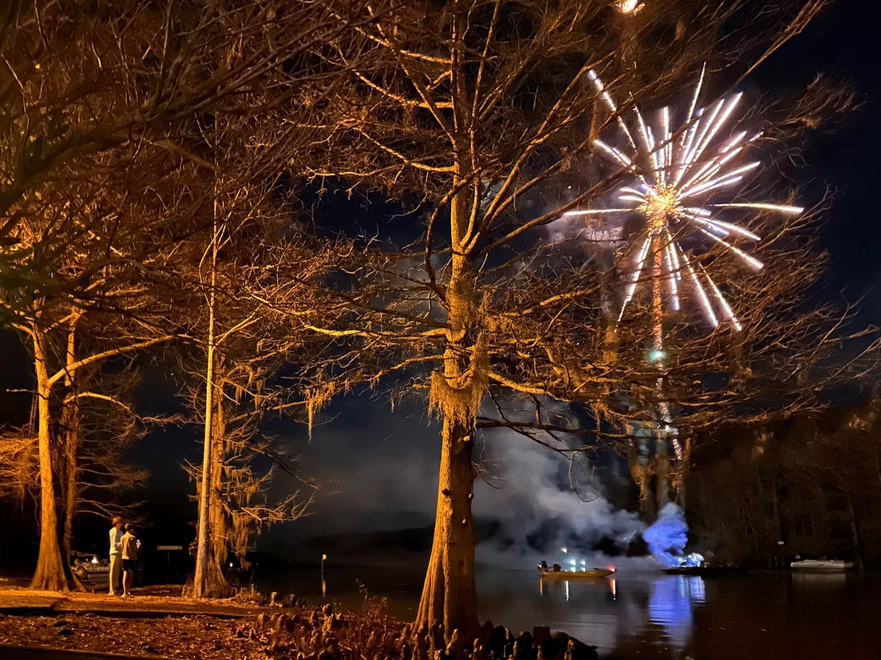 A fireworks display in a park with trees in the foreground
