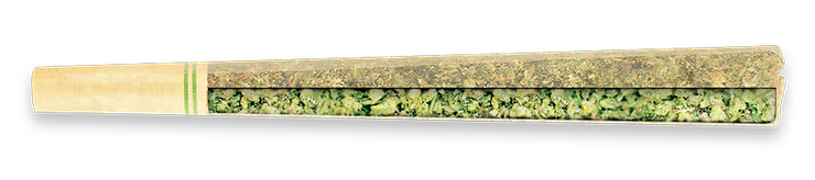 Joint filled with green plant matter and a tan filter tip, lying on a white surface.