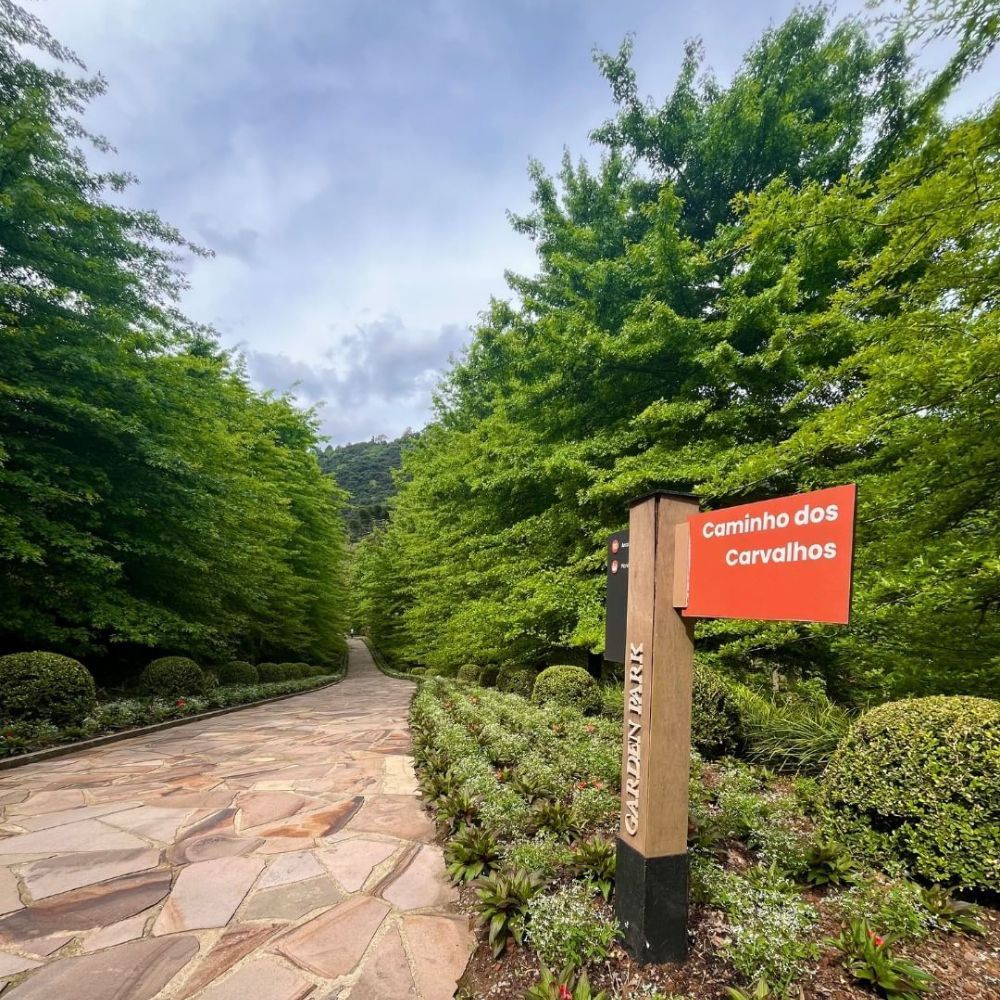 O Caminho dos Carvalhos será um dos  pontos de caminhada no Pet Day Garden Park Gramado