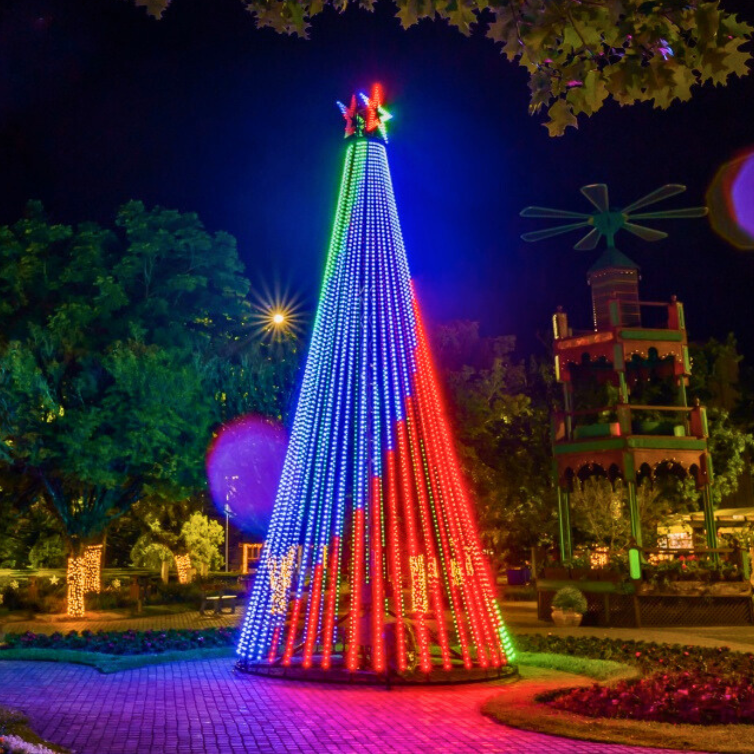 Zaandam Nova Petrópolis Foto Instagram Zaandam