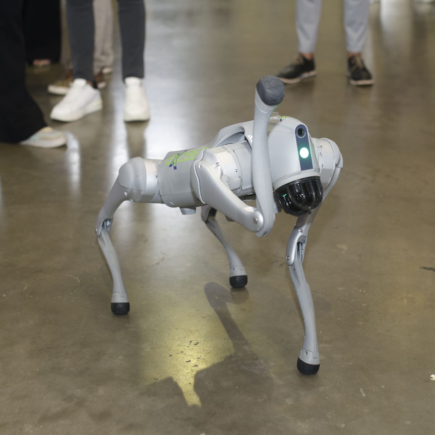 Cão Robô foi um dos destaques do Festuris 2024 em Gramado - Foto: Comunicação Festuris