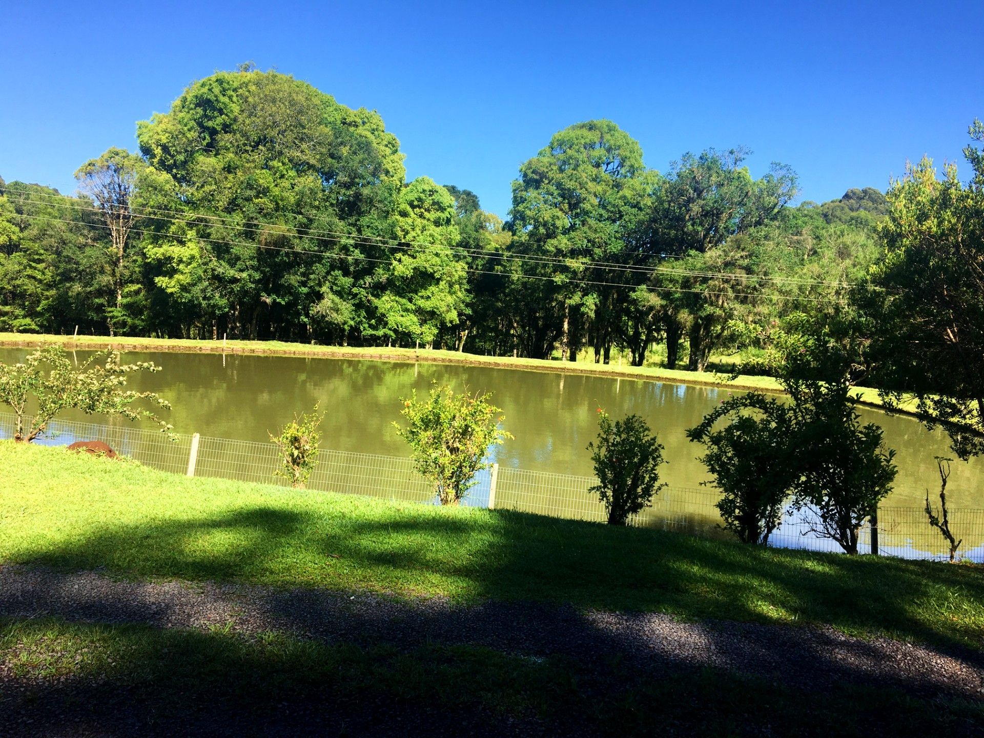 Natureza no Tour Linha Bella em Gramado Serra Gaúcha