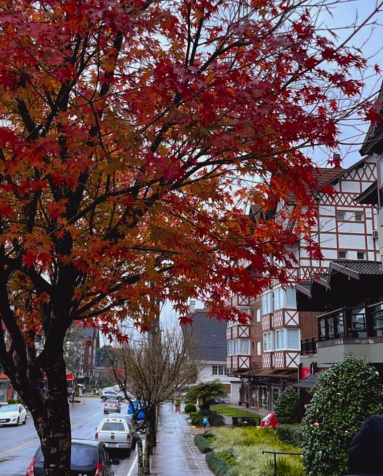 Um dia típico de outono em Gramado. As árvores de outono estão embelezando o centro da cidade da Serra Gaúcha