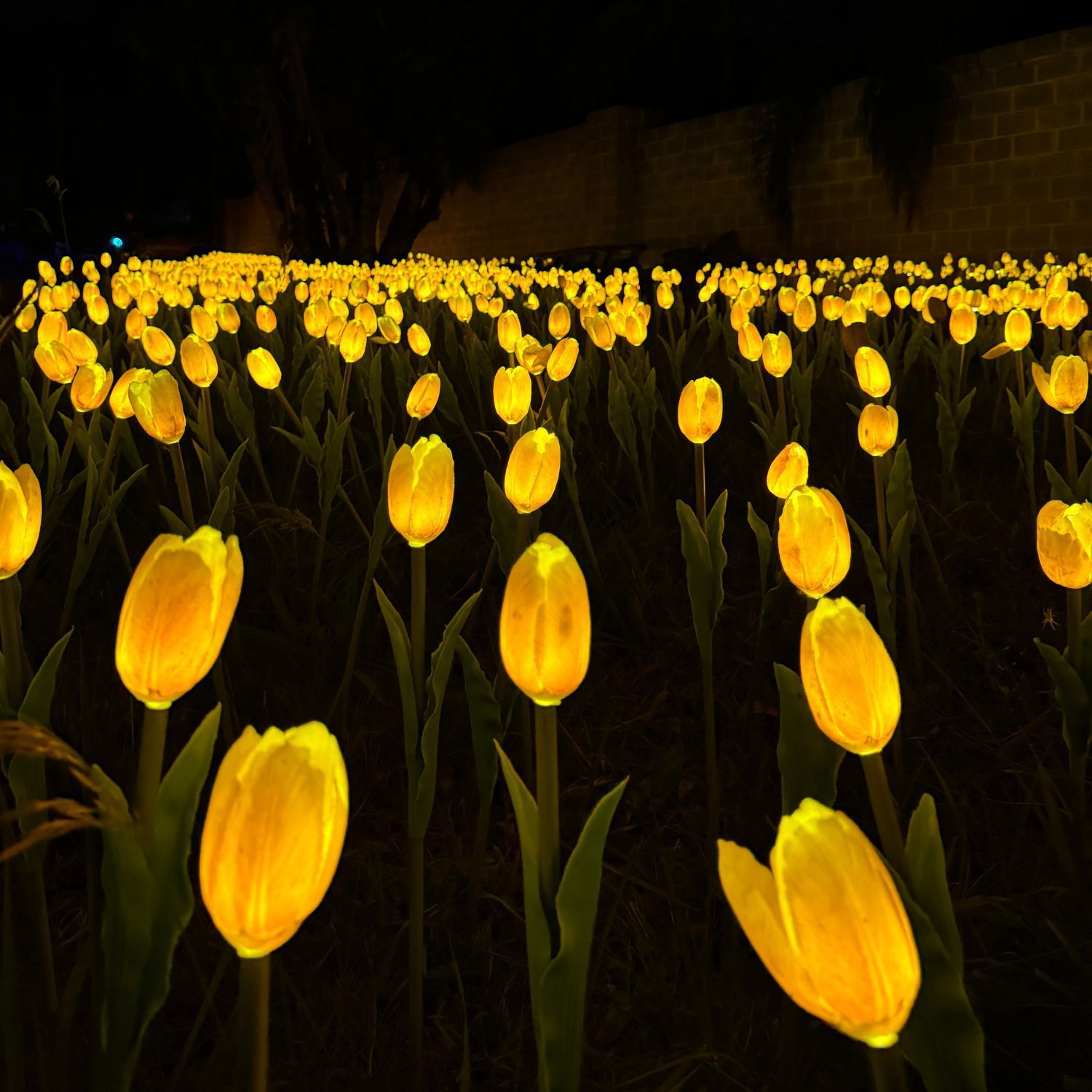 Parque noturno em Gramado: conheça o parque de luzes Lumni Experience Parque noturno em Gramado: conheça o parque de luzes Lumni Experience