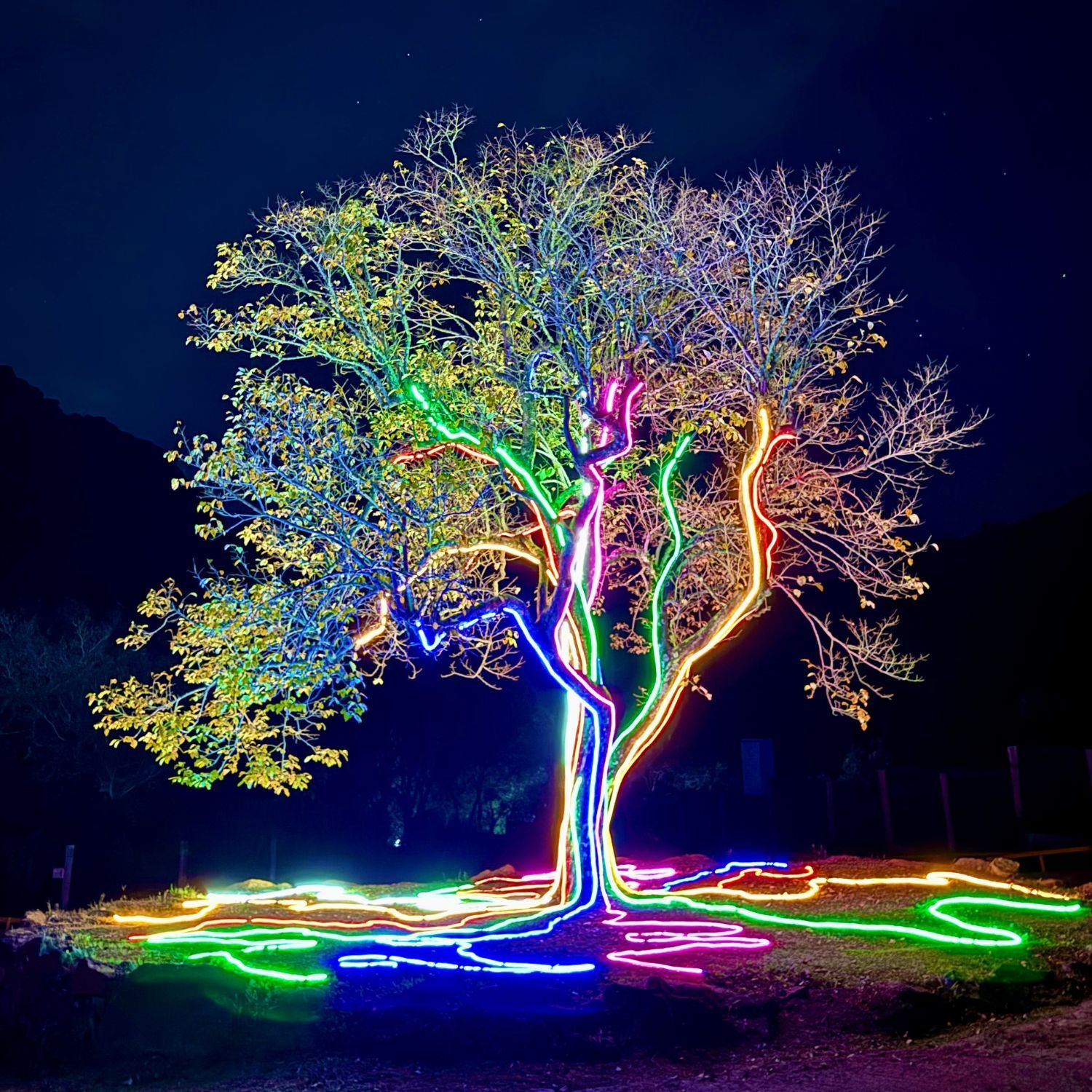 Lumni Experience Parque de Luzes em Gramado