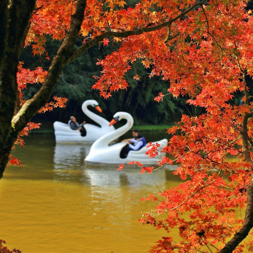 Rota Romântica - Foto Divulgação Turismo de Nova Petrópolis