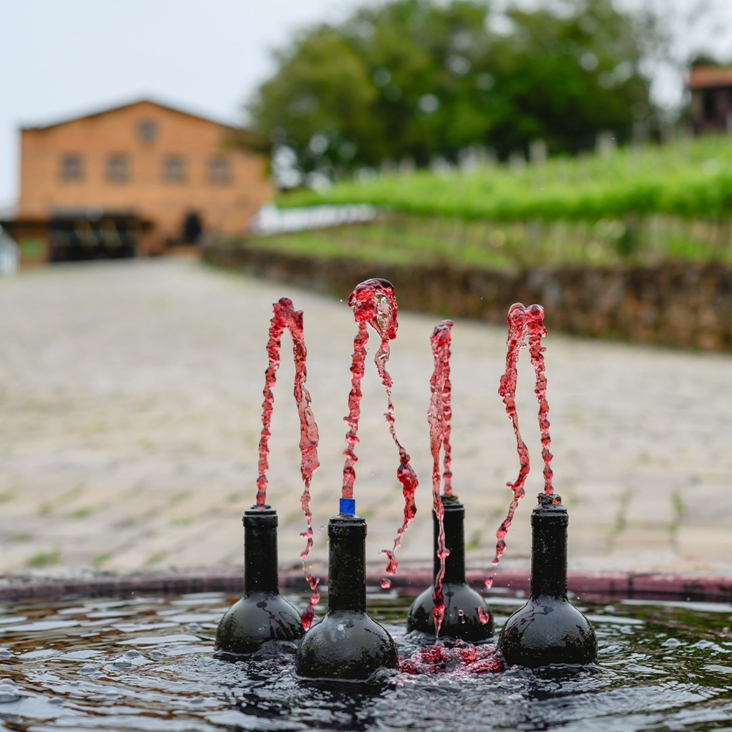 Vinícolas em Bento Gonçalves - Foto Instagram Vinícola Torcello