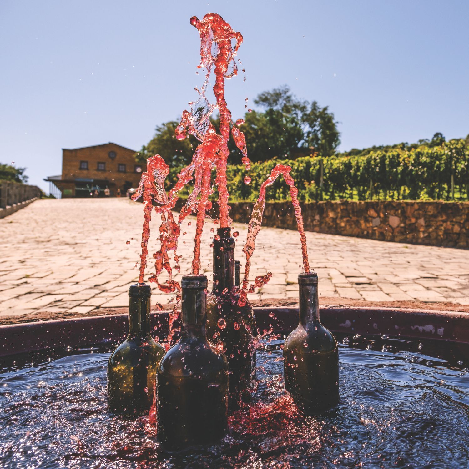 Vinícolas em Bento Gonçalves