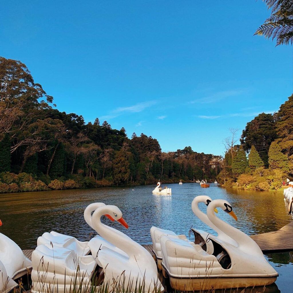 Lago Negro em Gramado com os pedalinhos mais famosos da Serra Gaúcha
