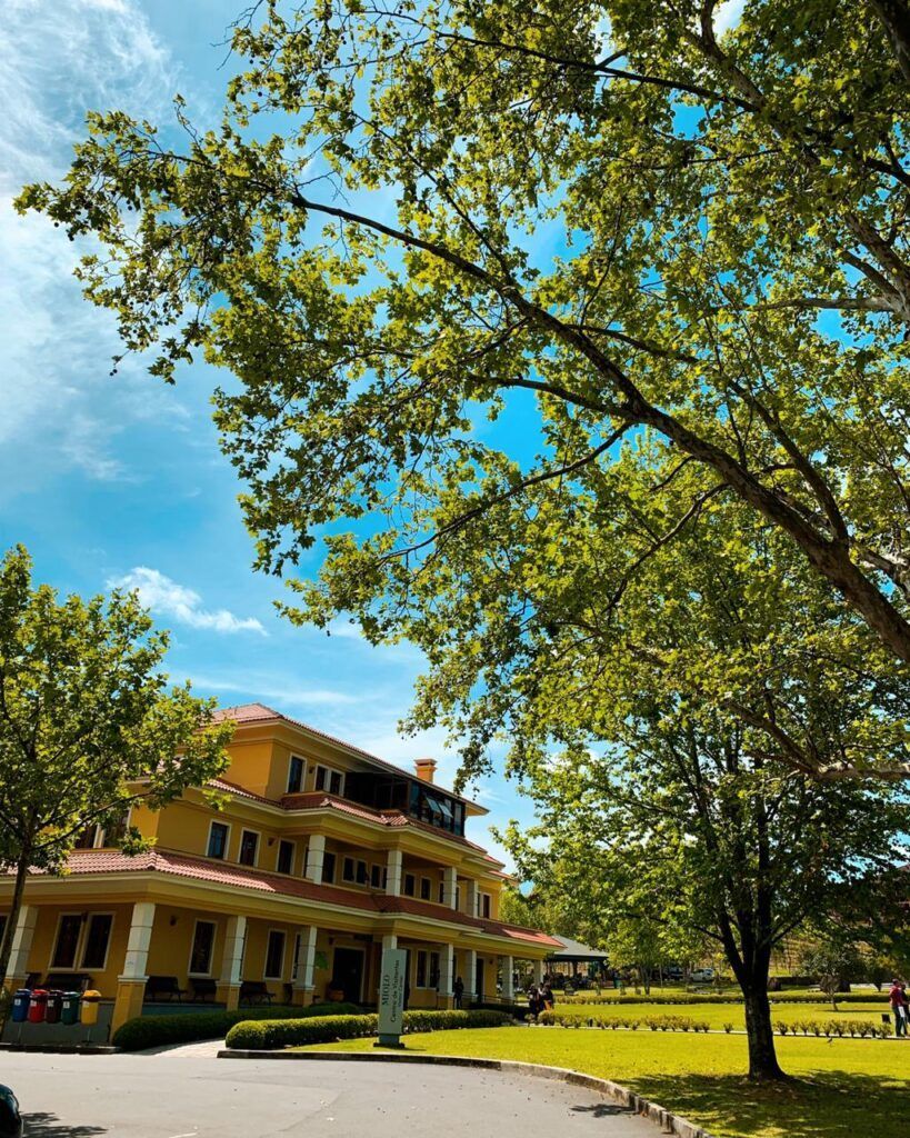 Vinícola Miolo Bento Gonçalves Serra Gaúcha | Gramado Oficial