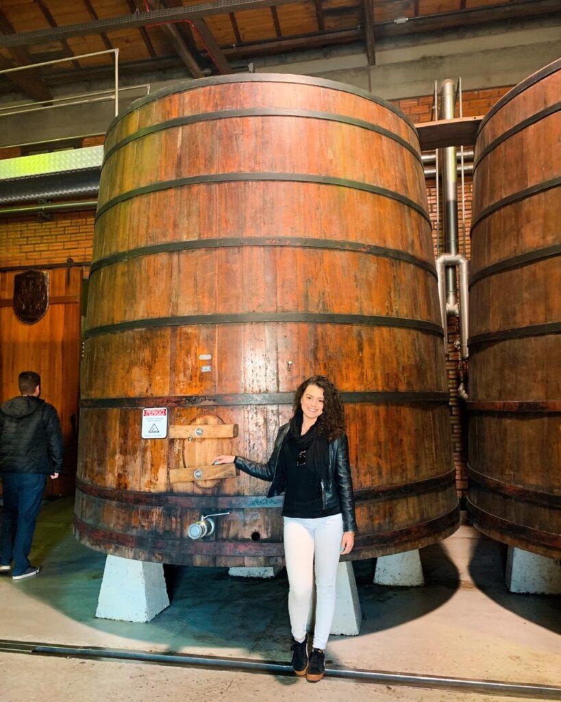 Vinícola Miolo Bento Gonçalves Serra Gaúcha | Gramado Oficial