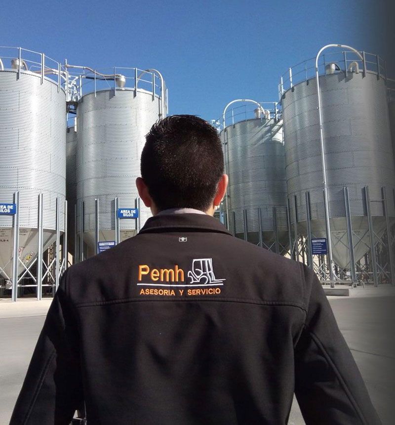 PEMH ASESORÍA Y SERVICIO SA DE CV