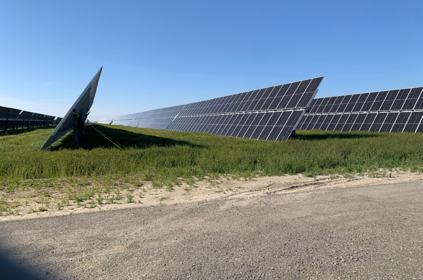 A row of solar panels are sitting on top of a grass covered field.