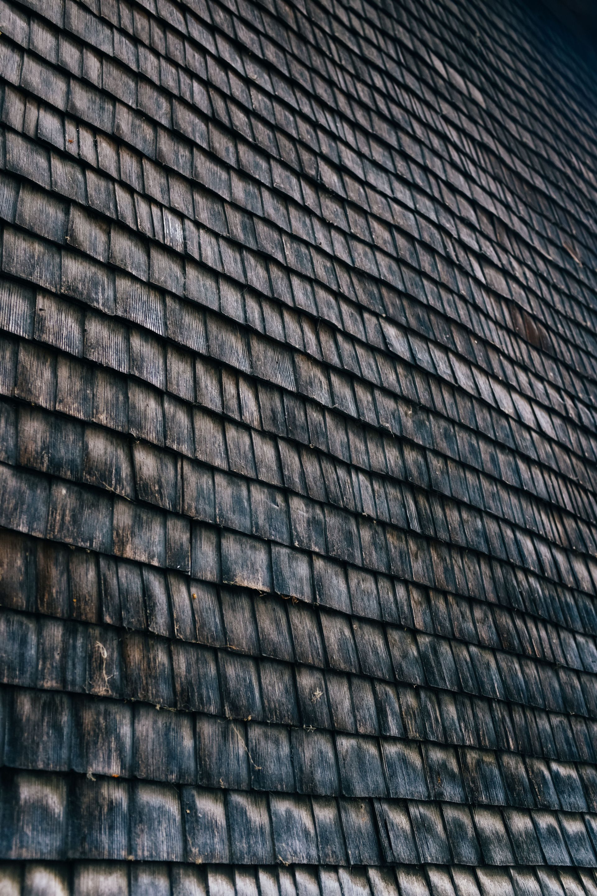 Close-up of weathered asphalt shingles on a Texas roof showing wear before a hail damage inspection