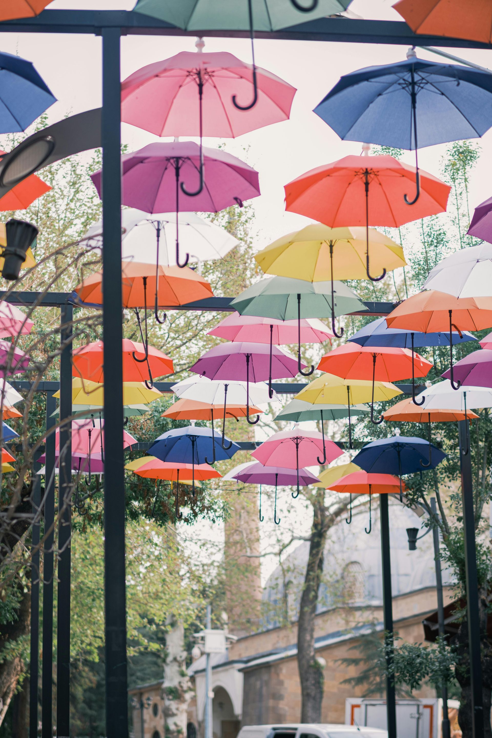 Colorful umbrellas hanging overhead on a tree-lined street