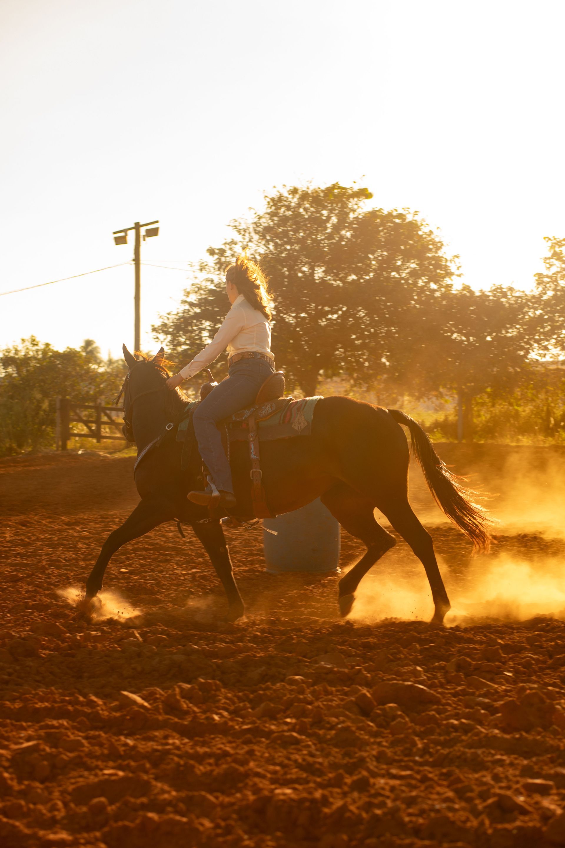 Cowgirl riding a dark horse at sunset, kicking up dust in an outdoor arena.