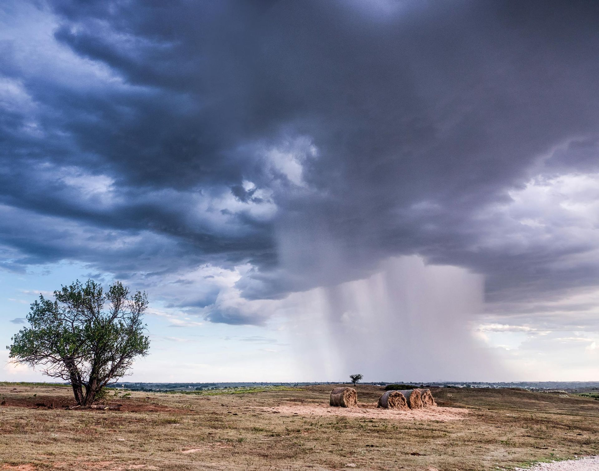 Dark storm cloud over open plain with heavy rain shaft and a lone tree in the foreground